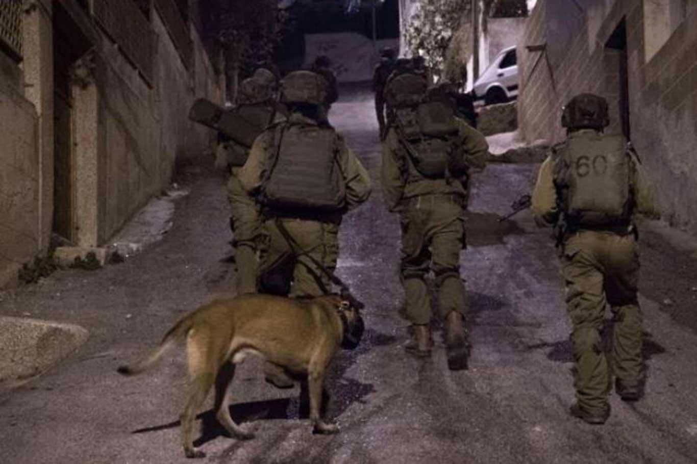 Five Palestinians kidnapped by zionist gangs in W. Bank